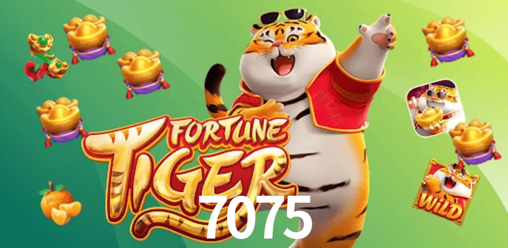 Experiência VIP 7075